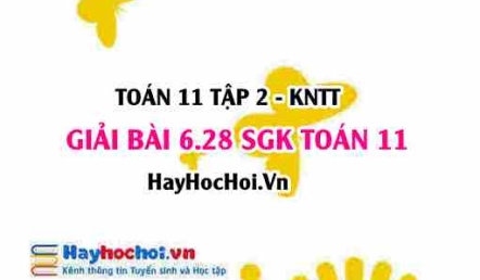 Bài 6.28 SGK Toán 11 Tập 2 Kết nối tri thức